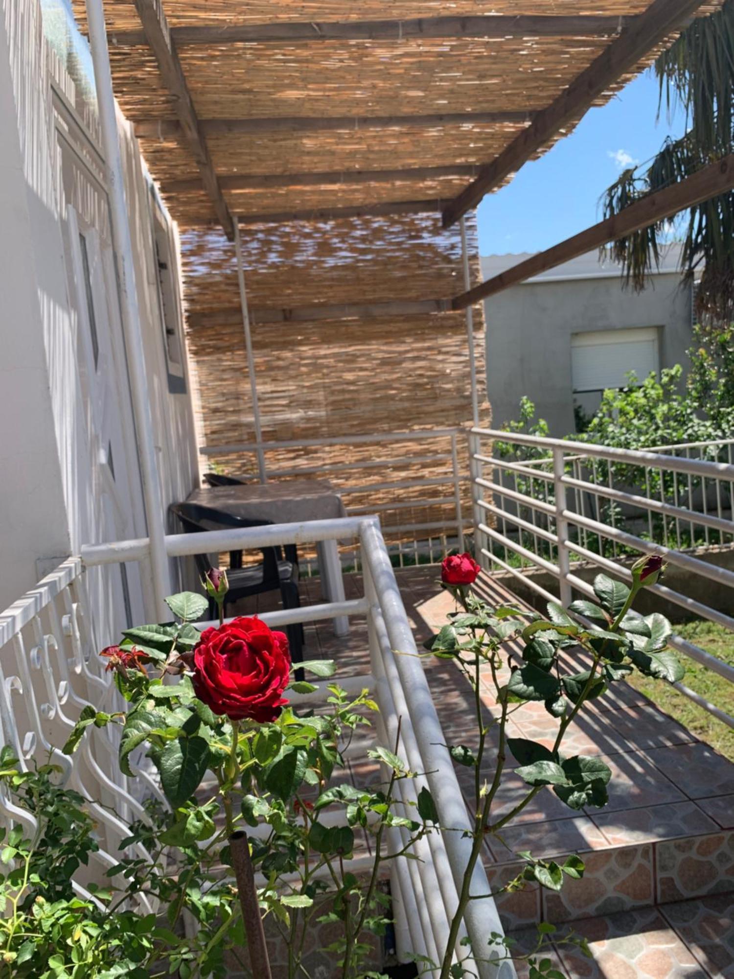 Apartmani Antonela Seline Exterior foto